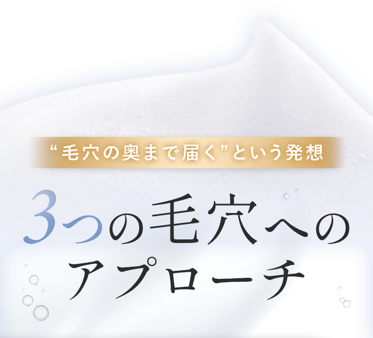 3つの毛穴へのアプローチ