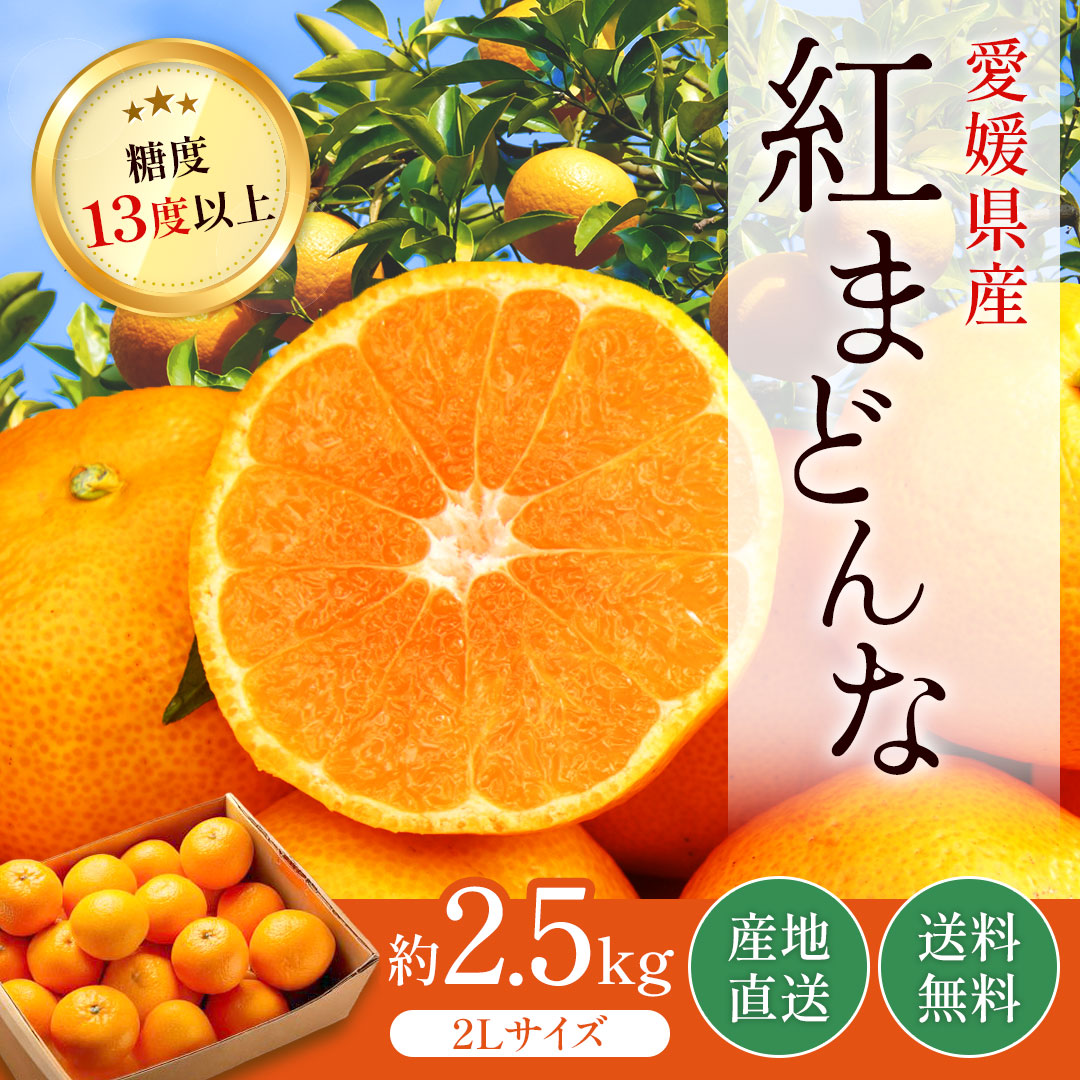 バナー6